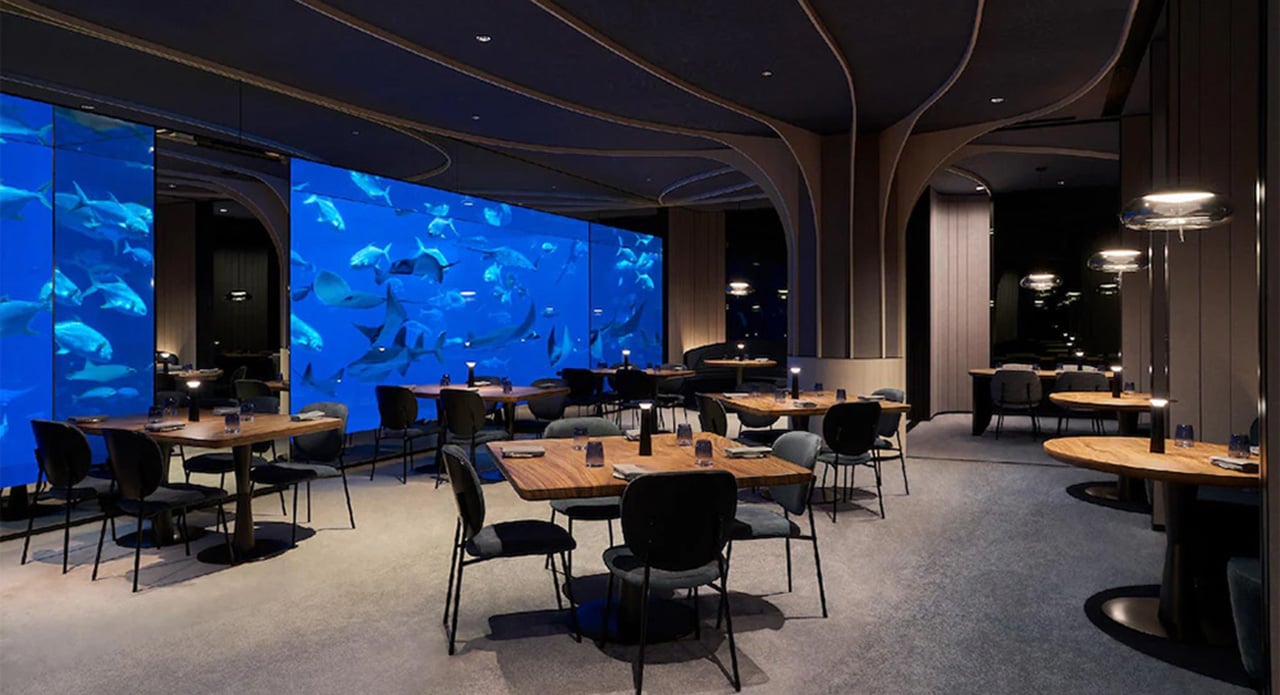 Unforgettable Underwater Stays and Experiences Around the World