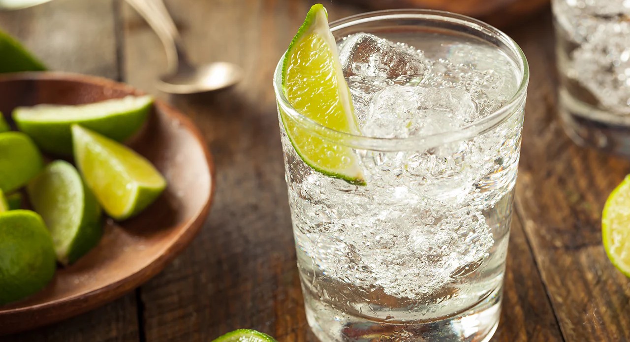 The Indian Origins Of The Gin And Tonic: A Journey Of Taste, Tradition, And Transformation
