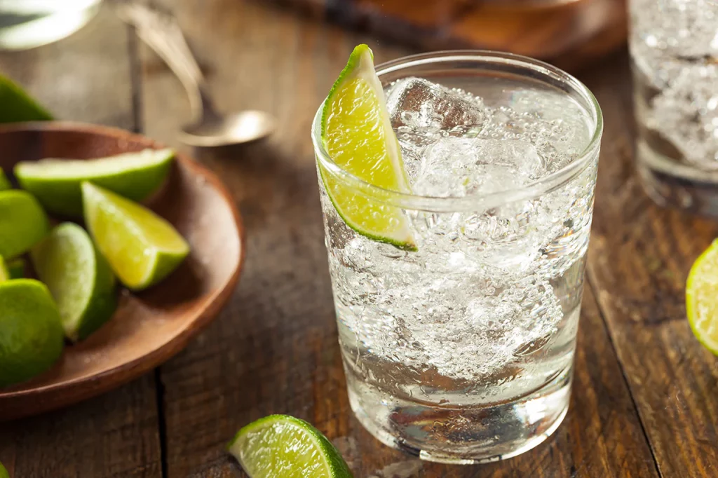The Indian Origins Of The Gin And Tonic: A Journey Of Taste, Tradition, And Transformation