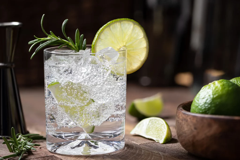 The Indian Origins Of The Gin And Tonic: A Journey Of Taste, Tradition, And Transformation