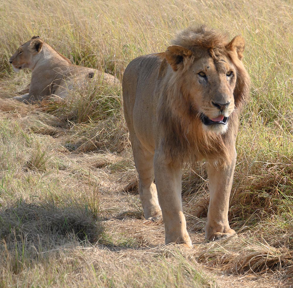 TravelK travel experiences Kenya