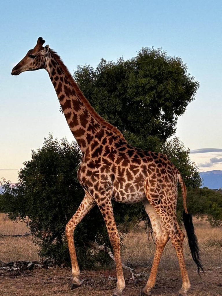 TravelK travel experiences South Africa