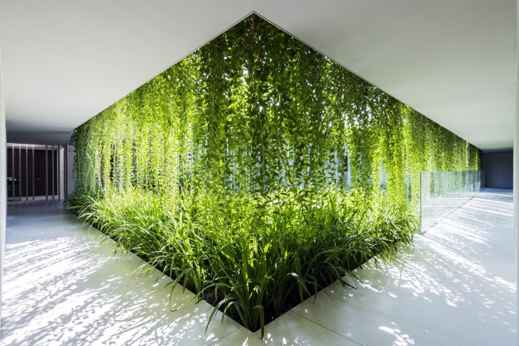 By seamlessly integrating natural elements into architecture and interiors, biophilic design connects people with nature