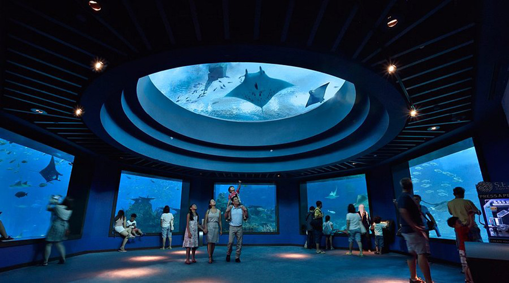 Singapore Oceanarium, Singapore Tourism, Singapore new hotspot for tourists