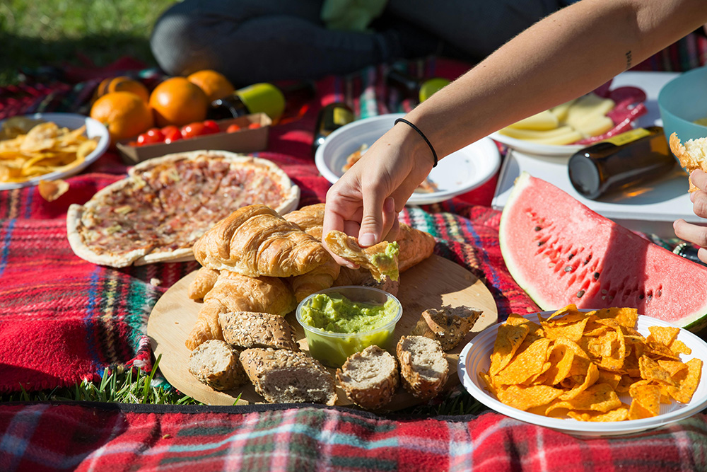 Luxe Picnic Experiences, what you need to plan the perfect outdoor picnic