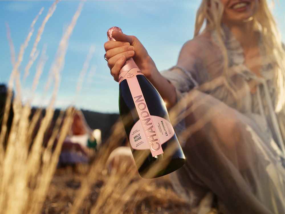 Urban Picnic Culture, rose and crackers for picnic