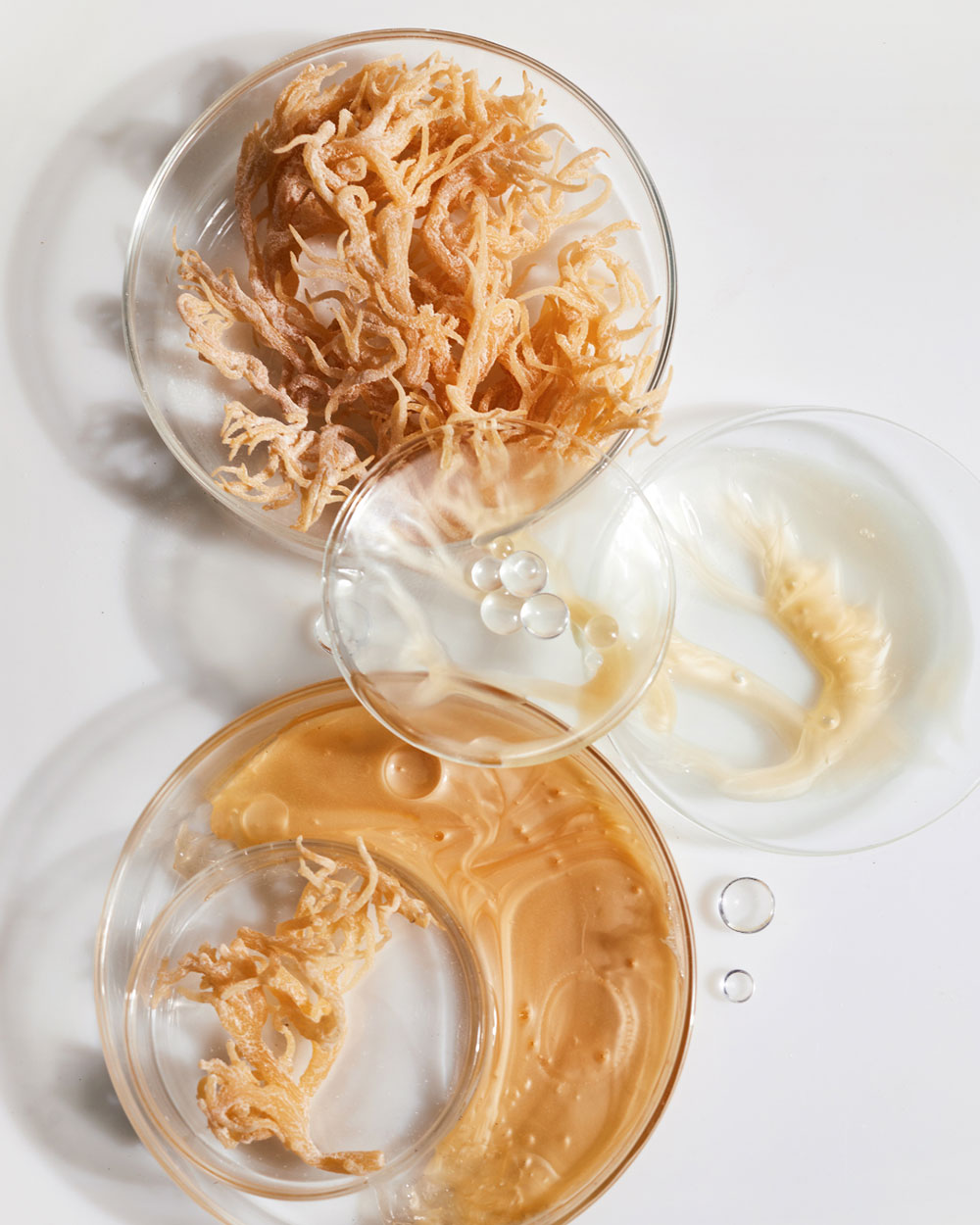 The benefits of sea moss, what brides to bes should be eating, bridal skincare one month before wedding, skincare trends