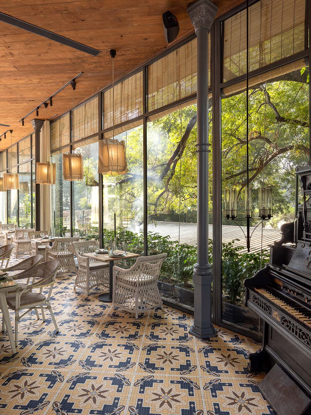 Soft pools of light filtering through trees in day