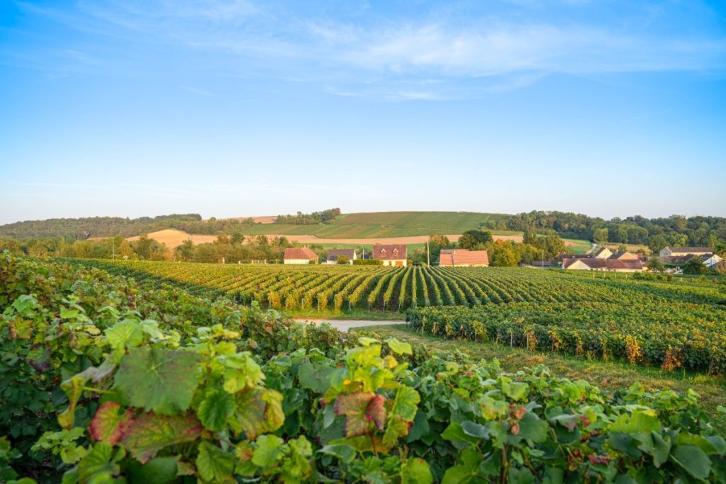 Luxurious, indulgent