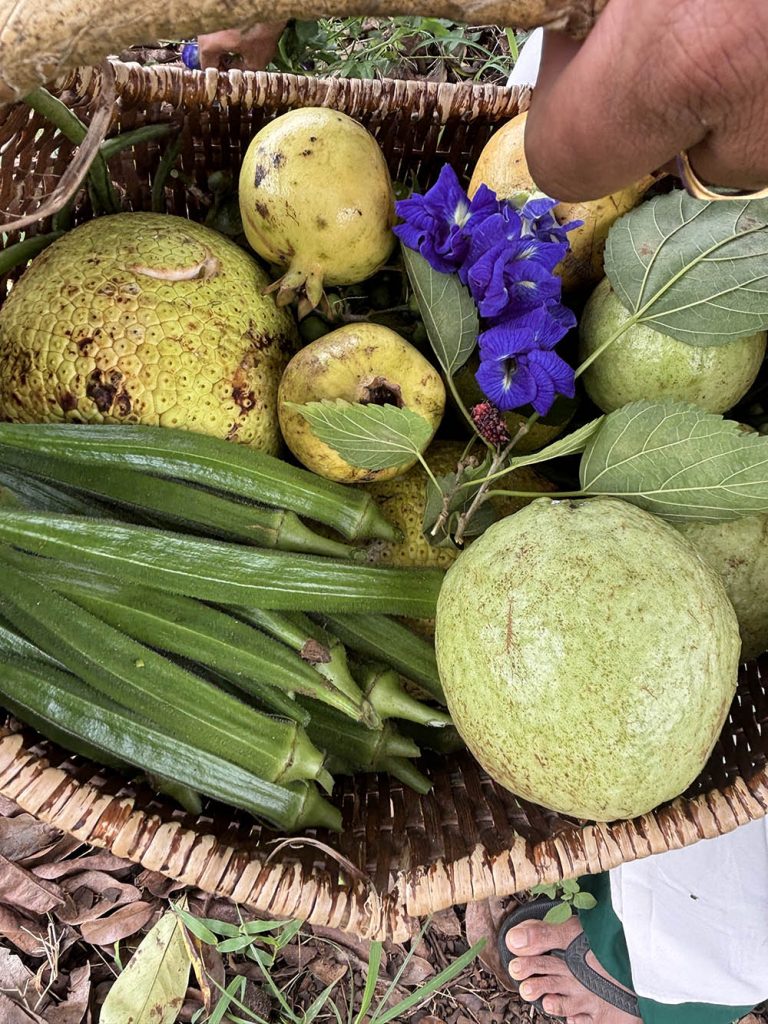 Experiencing the living landscapes of Vil Uyana, vil uyana sri lanka eco retreat, vil uyana sri lanka sustainable hotel, 