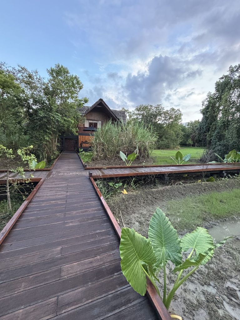 Experiencing the living landscapes of Vil Uyana, vil uyana sigiriya sri lanka, vil uyana resort sri lanka, vil uyana boutique hotel sri lanka, 