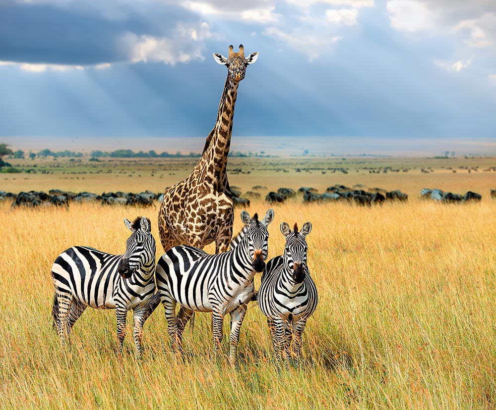 Africa travel experiences, vacation in Africa, luxury vacation Africa, African city breaks, Nairobi travel, Kenya vacation, East Africa travel