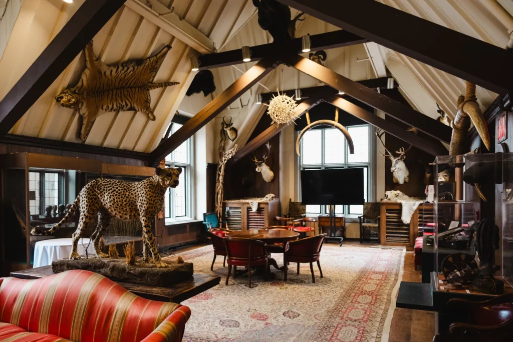 Built on adventure, discovery, and global curiosity