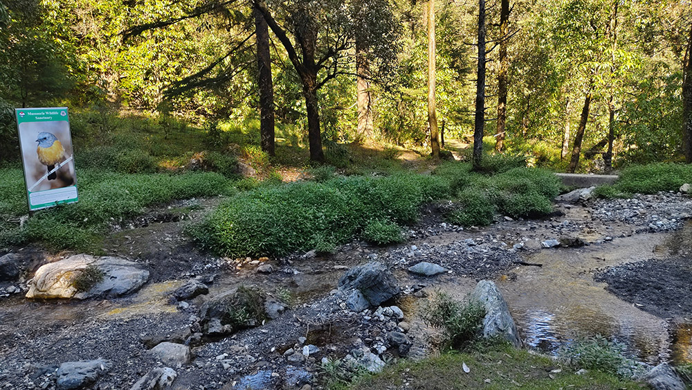 JW Marriott Mussoorie