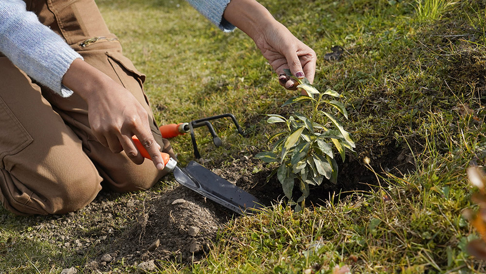 JW Marriott Mussoorie