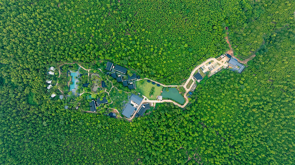 Sonar Bangla Joypur Forest from the top, cultural exploration, travel India 2026, scenic West Bengal,