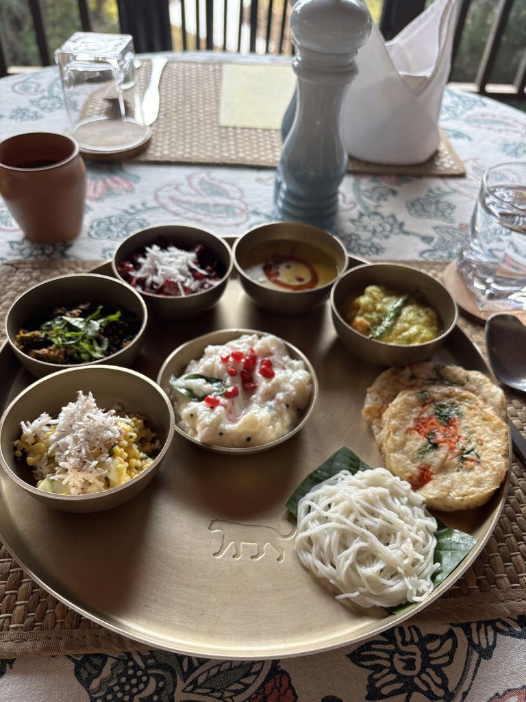 Eco-Friendly Jungle Idyll In Satpura 