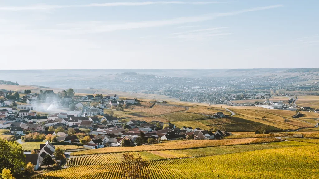 Champagne is made using what is known as the traditional method, often called méthode champenoise