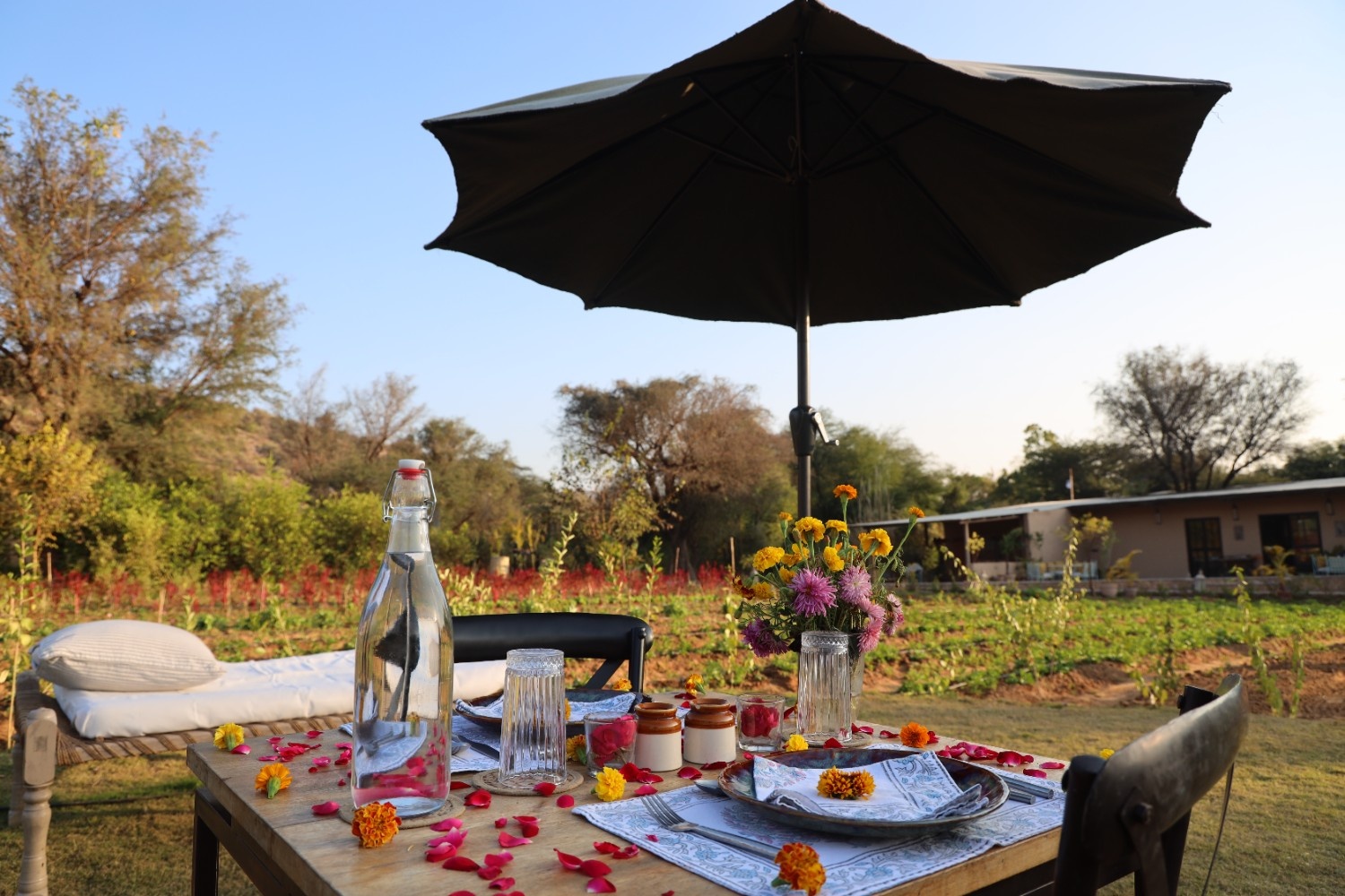 Anopura slow travel experience, Anopura cultural immersion, Anopura village safari, Anopura camel cart ride, Anopura farm to table dining, Anopura organic farming retreat, Anopura nature walks, Anopura Aravalli foothills stay