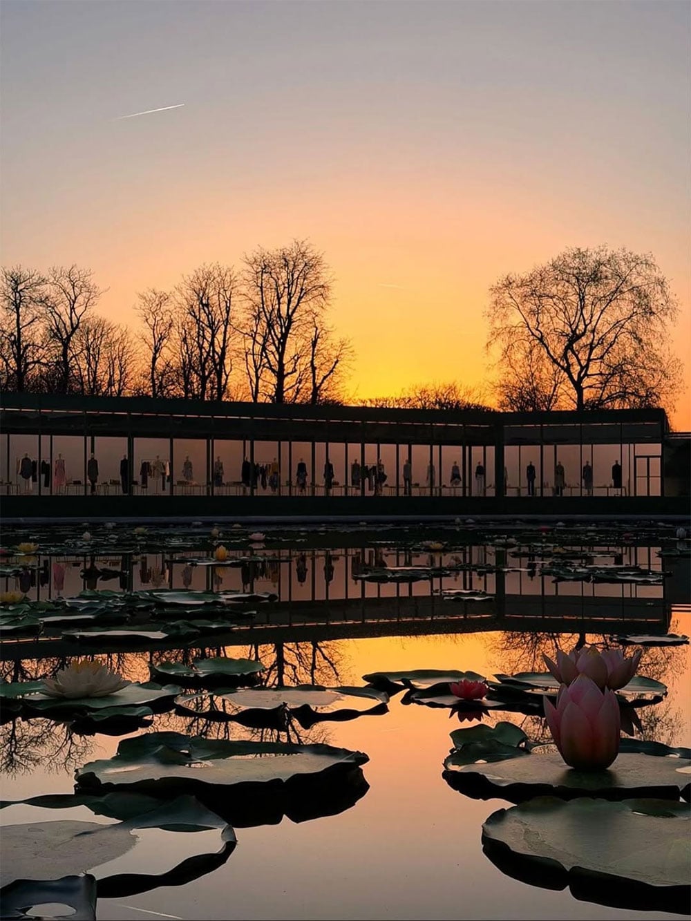 dior inspired by paris promenade for new collection, dior shoes, dior accessories, dior made water lily pond in the middle of paris,