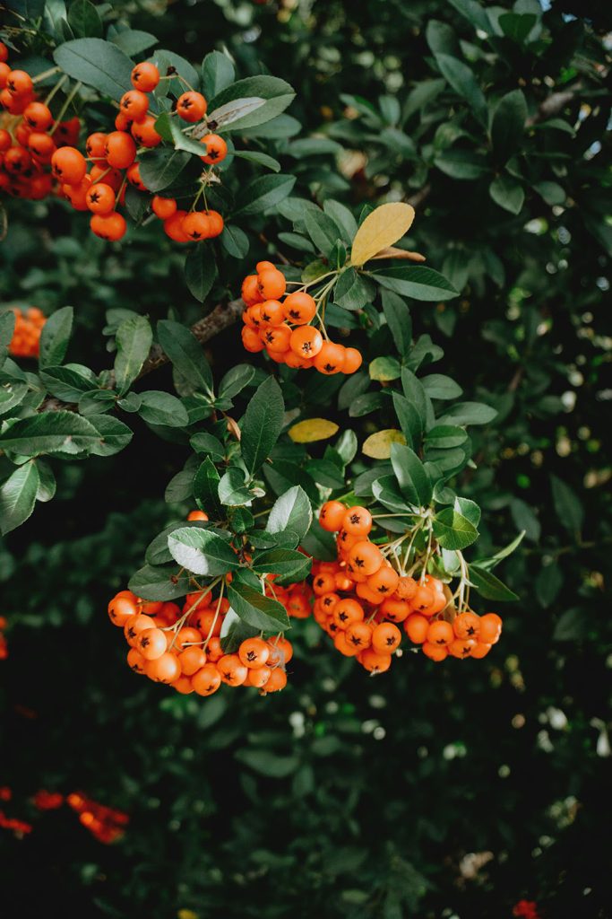 best minimalist skincare routine for glowing skin