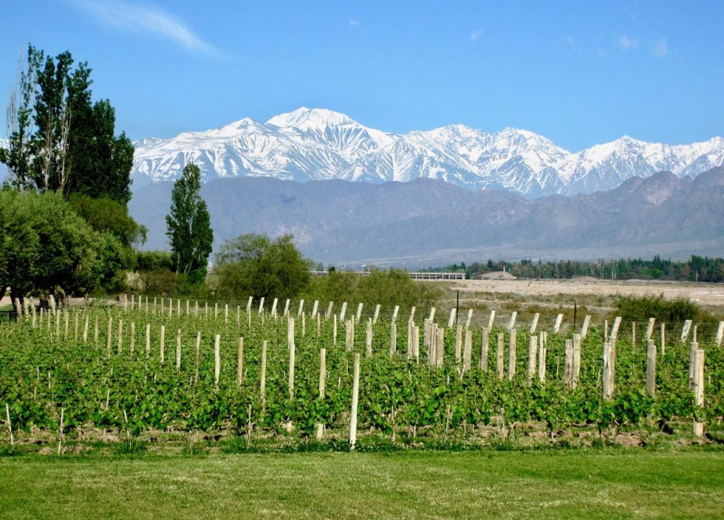 Sagittarius thrives on adventure and expansive landscapes. Mendoza sits beneath the towering Andes Mountains