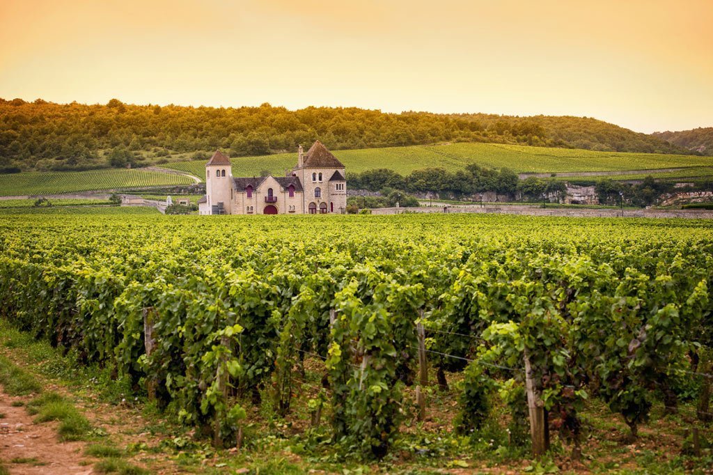 Capricorn respects tradition, craftsmanship, and enduring legacy. Burgundy’s historic vineyards