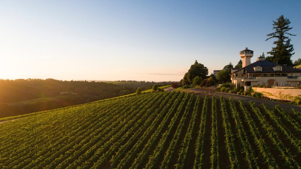 Aquarius appreciates innovation and forward thinking culture. Willamette Valley