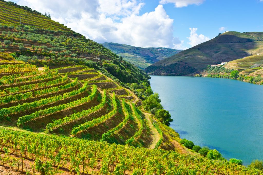 Pisces is naturally drawn to poetic landscapes and emotional depth. The terraced vineyards of the Douro Valley