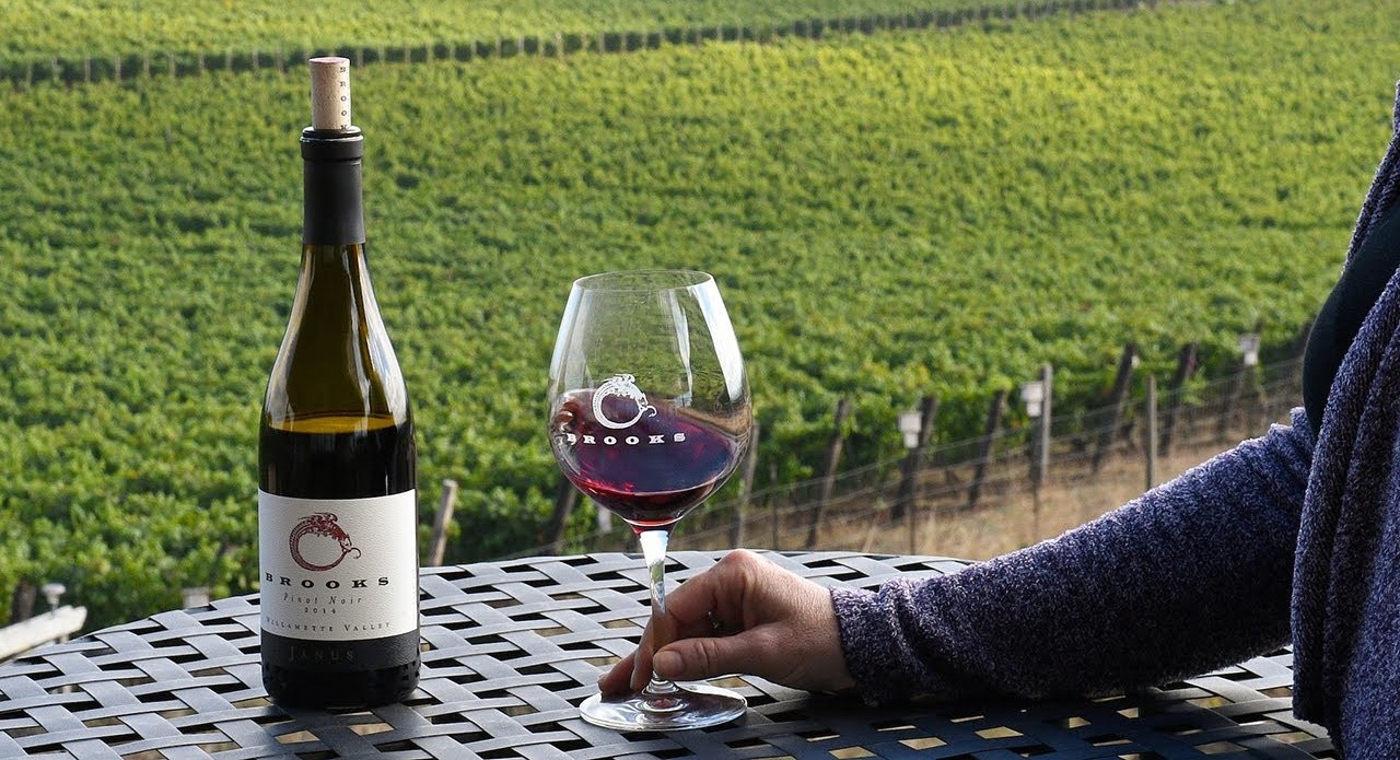 The Best Wine Regions In The World Written In The Stars For Every Zodiac Sign