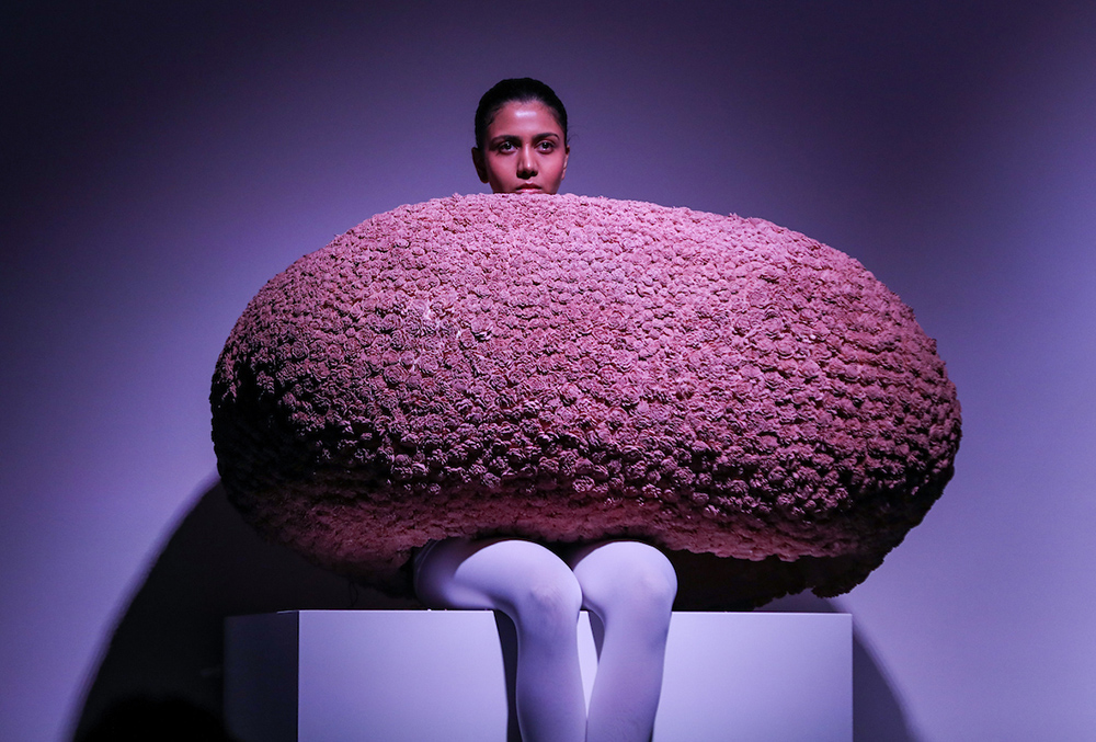 Anamika Khanna’s AK|OK SS’26 showcase at Lakmē Fashion Week FDCI x Lakmé Fashion Week 2026, Anamika Khanna designer outfits, Anamika Khanna Lakme Fashion Week 2026, Anamika Khanna Lakme Fashion Week collection, AK|OK fashion label,