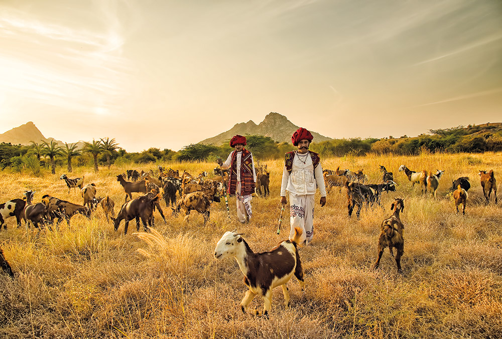 Meet some of the distinct village personalities during your stay