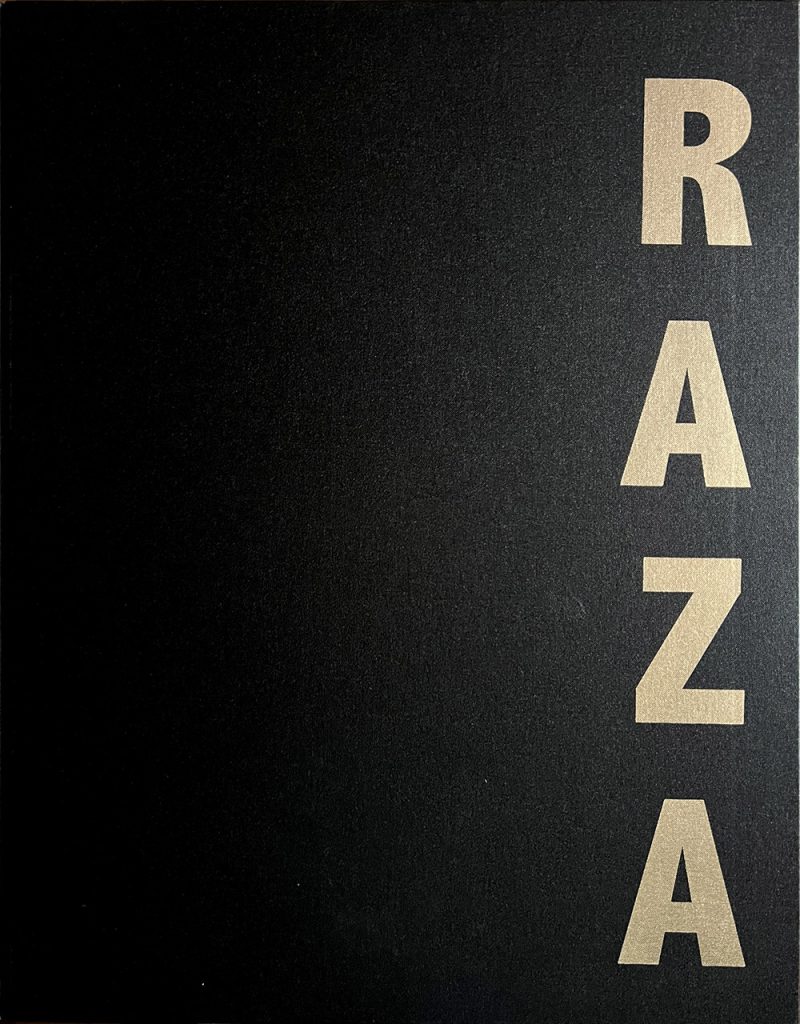 SH Raza: The Journey of a Master