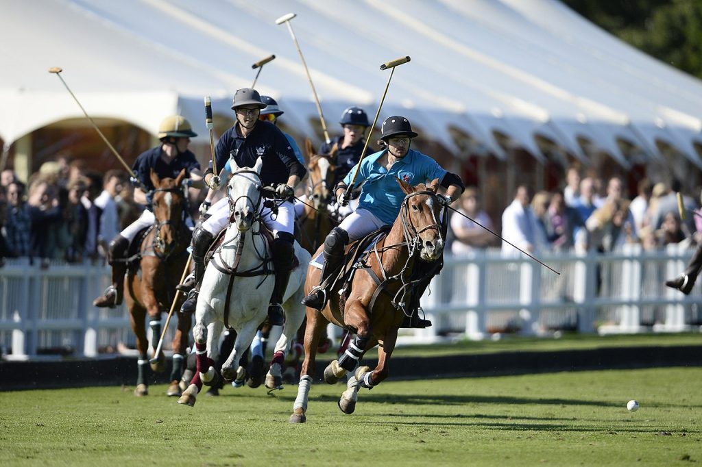 Aries thrives on momentum and competition, and polo offers both in abundance