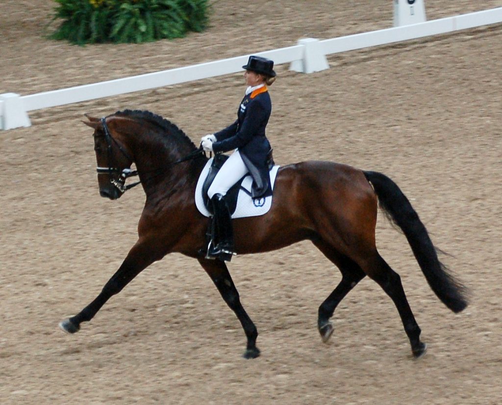 Taurus finds beauty in patience and control. Dressage, often described as ballet on horseback