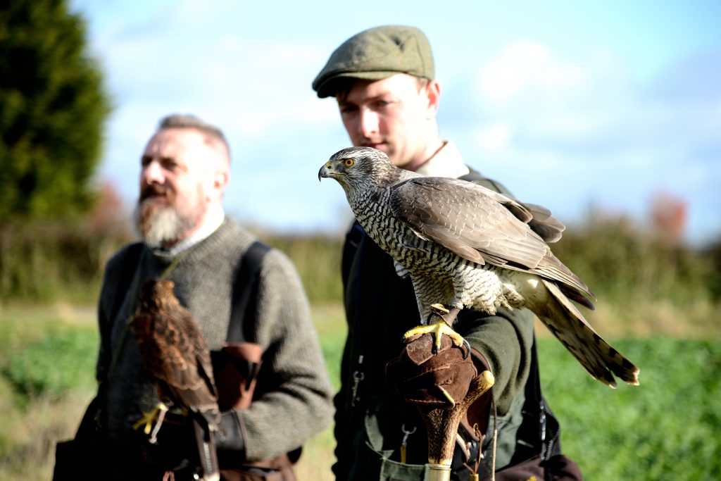 Scorpio gravitates toward intensity and control. Falconry, one of the oldest hunting traditions