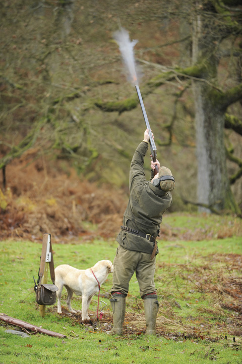 Capricorn respects heritage and structure. Game shooting, steeped in tradition and discipline