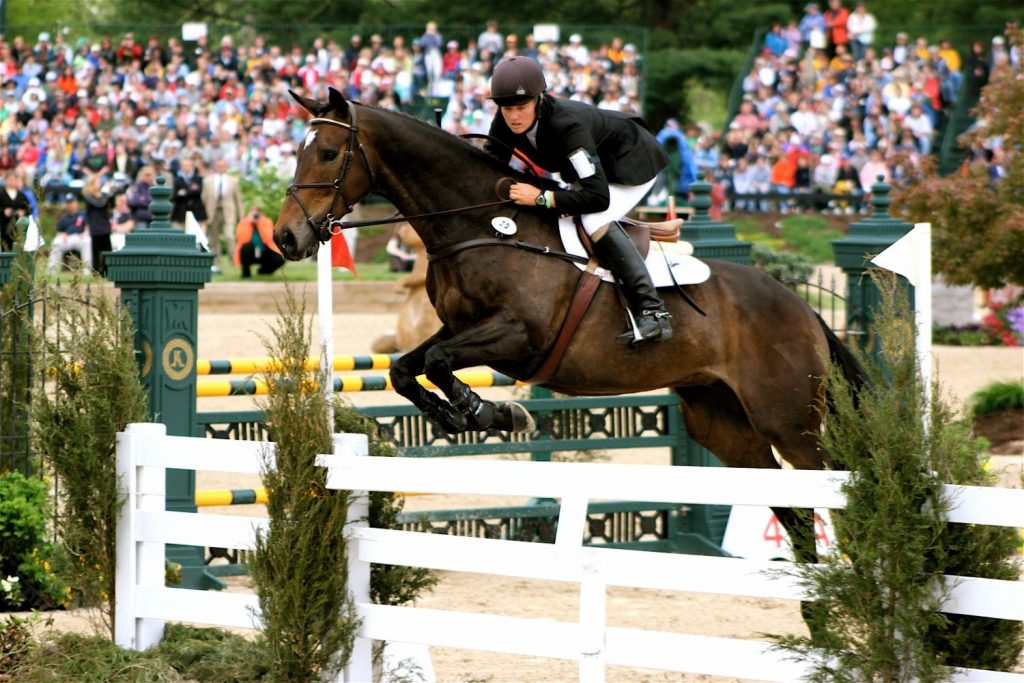 Leo seeks presence and performance, and show jumping provides a stage worthy of both