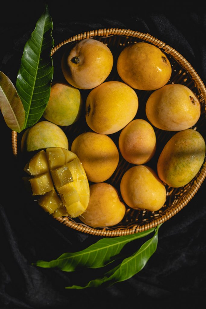 Malda mango history