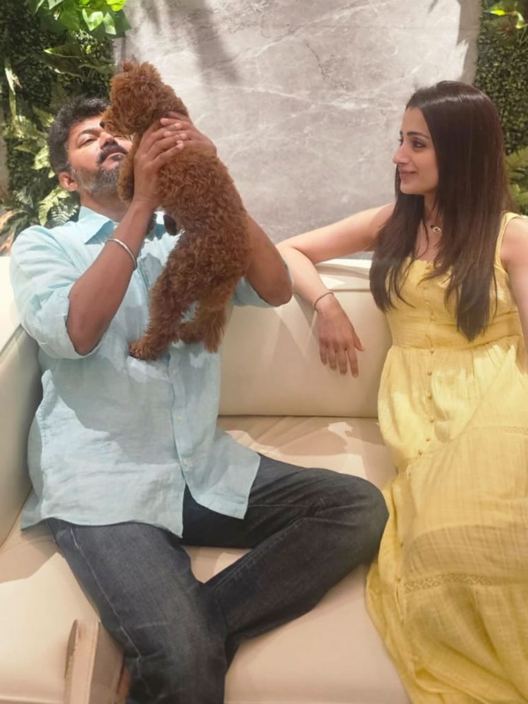 Vijay and Trisha movies together