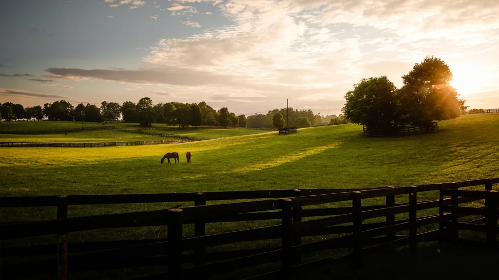Leo needs Kentucky, where bourbon arrives with confidence and unapologetic character. Grand distilleries, bold flavours, and names like Woodford Reserve reflect a sign that was never built for understatement.