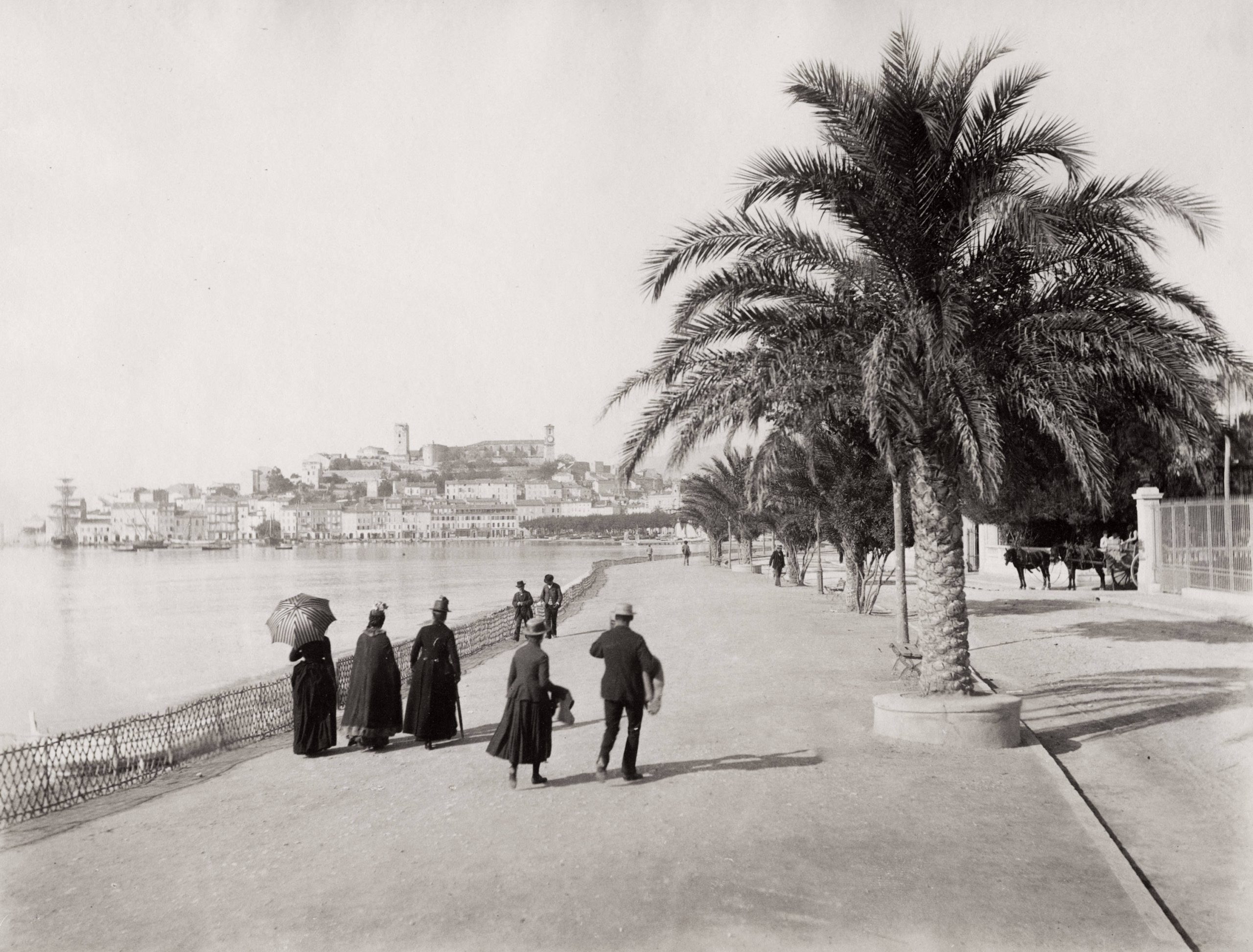 cannes film festival establishment history, cannes film festival international influence, cannes film festival cinema history, cannes film festival european film history, 