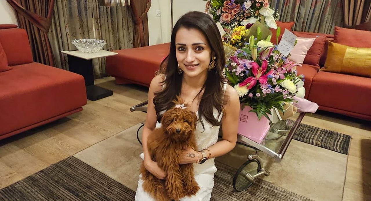 Inside Trisha Krishnan’s Rs 10 Crore Chennai Home: Wooden Floors, Walk-In Closet & Luxury Interiors