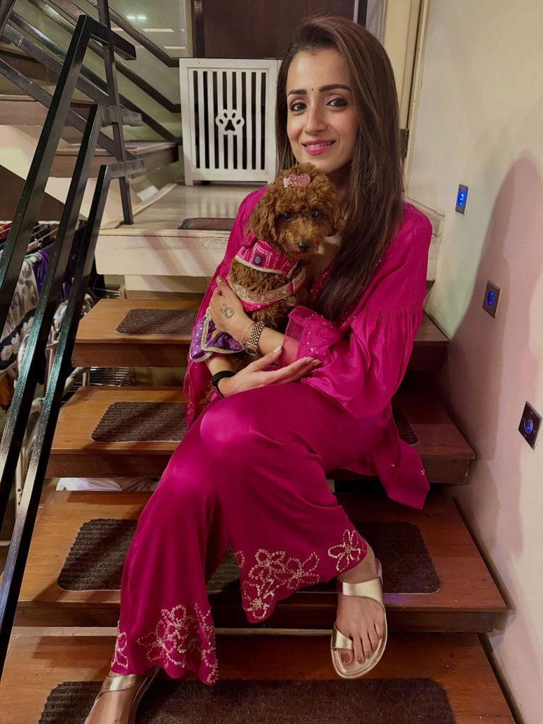Trisha Krishnan interior design