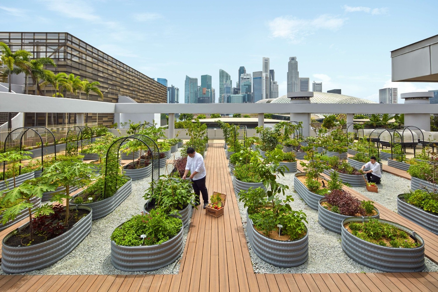 Parkroyal Collection Marina Bay Singapore best hotel, Parkroyal Collection Marina Bay Singapore luxury stay, Parkroyal Collection Marina Bay Singapore Marina Bay views,