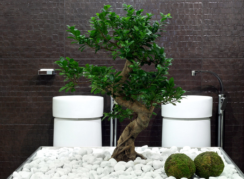 Luxury bathroom trends,spa-inspired bathroom,