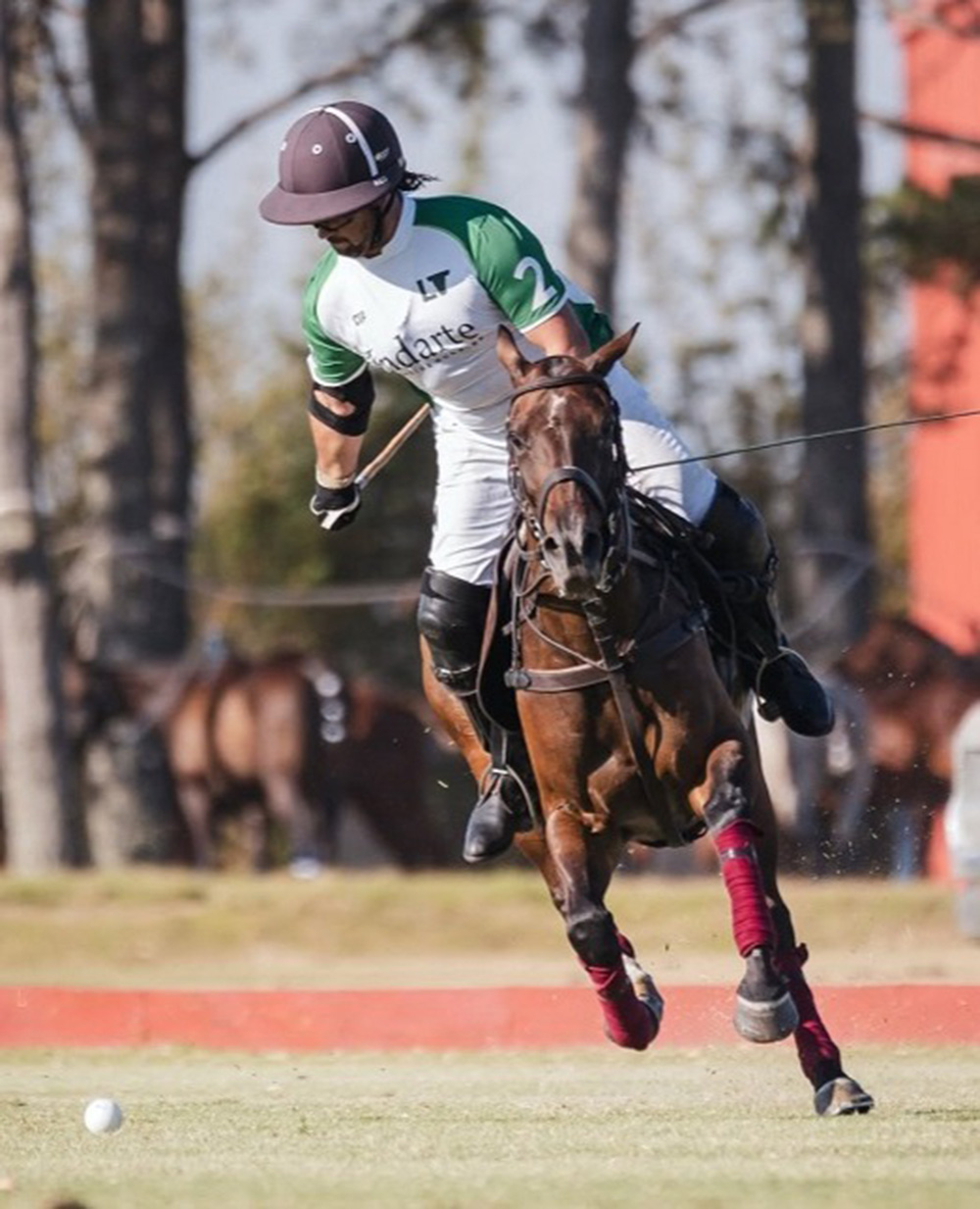 Estancia Vik José Ignacio (Uruguay): Polo, polo sports, polo sportscation, polo adventure