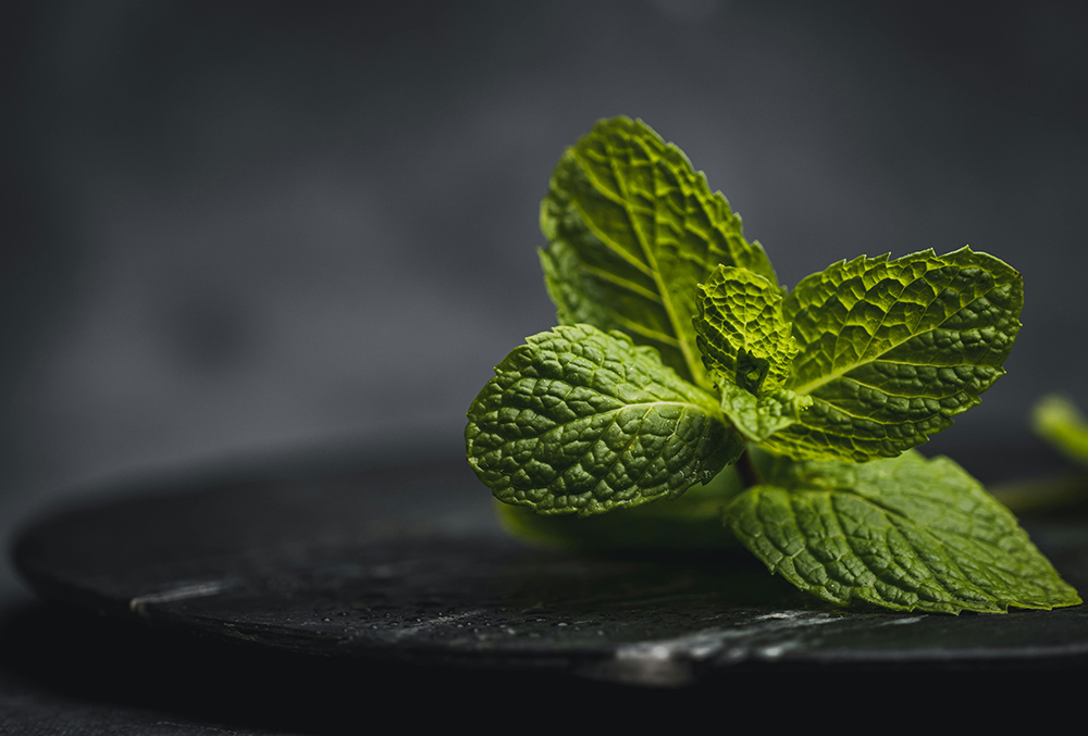 best foods to cool your body naturally Mint, best foods for hot weather,natural body cooling foods,hydrating summer fruits,foods for heatwave season,