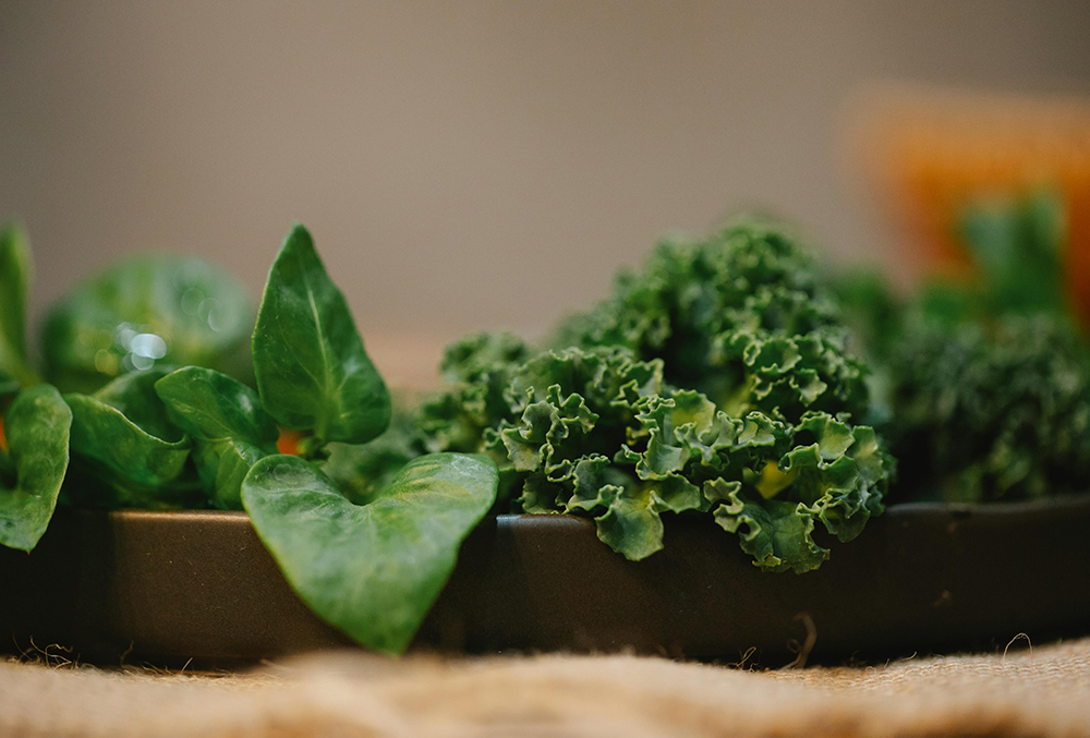 healthy cooling foods for extreme heat Leafy Greens, summer foods to keep cool, summer foods that give energy,healthy cooling foods for extreme heat
