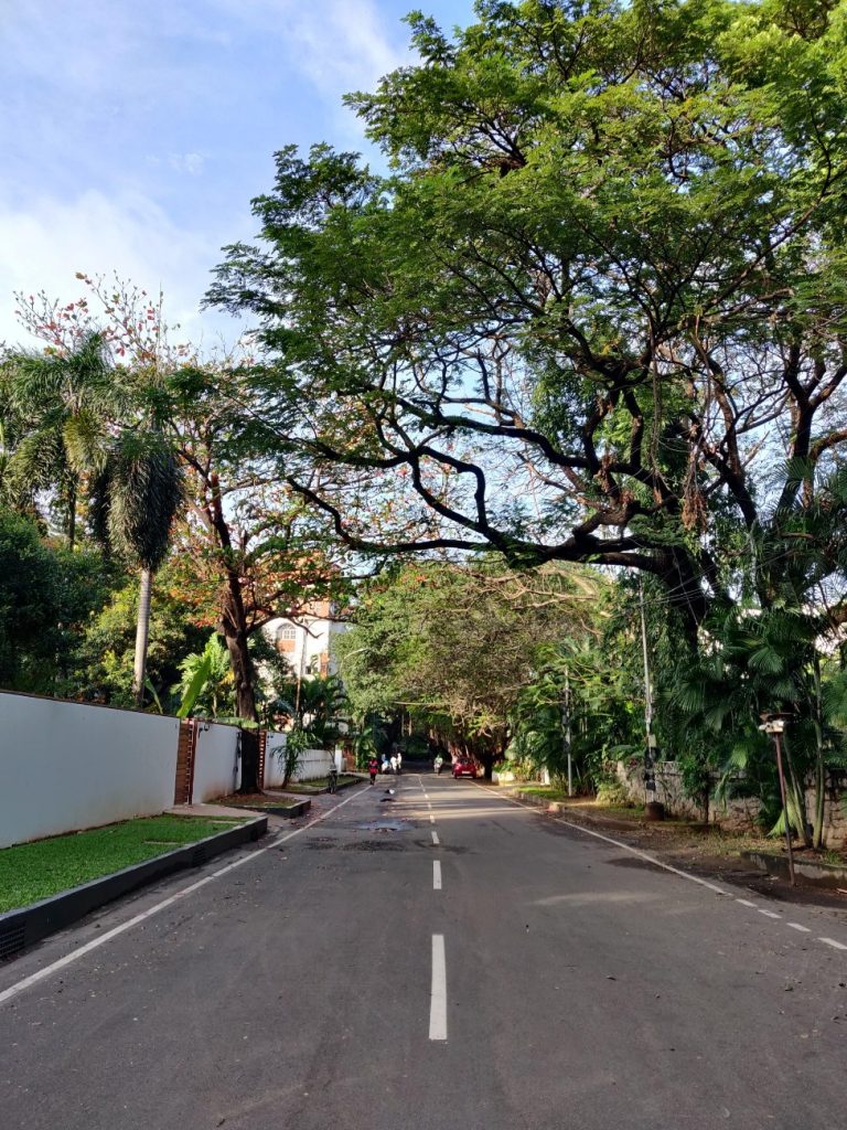 In Chennai, no address commands greater respect than Boat Club Road